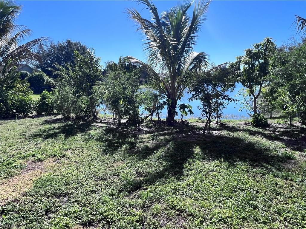 1187 Bush St E, Immokalee, FL 34142 Photo