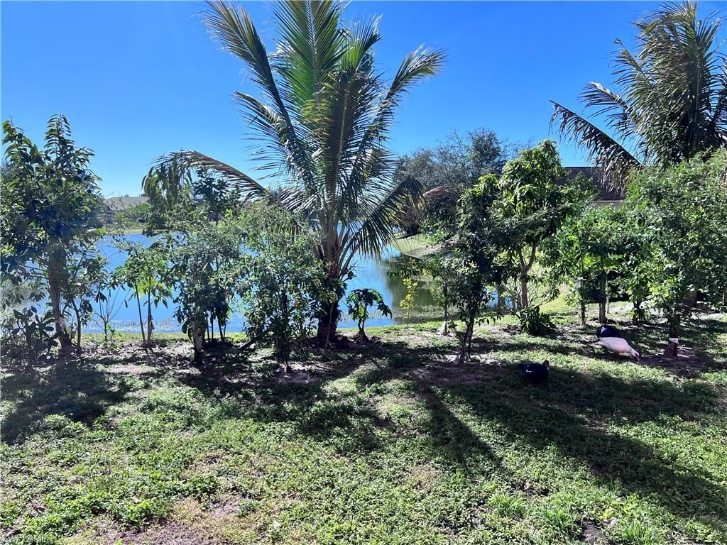 1187 Bush St E, Immokalee, FL 34142 Photo