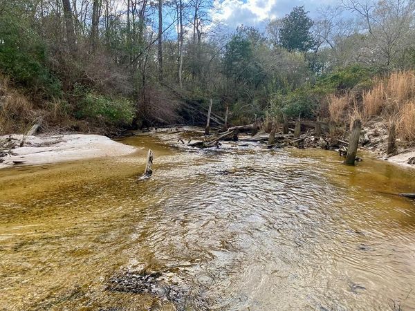 00 Benville Road, Picayune, MS 39466