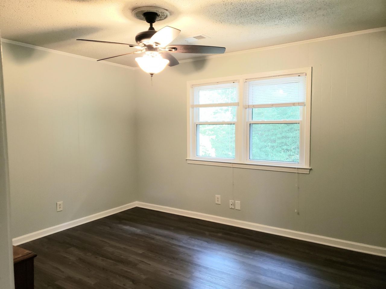 1730 Pinckney Park Drive Photo 11