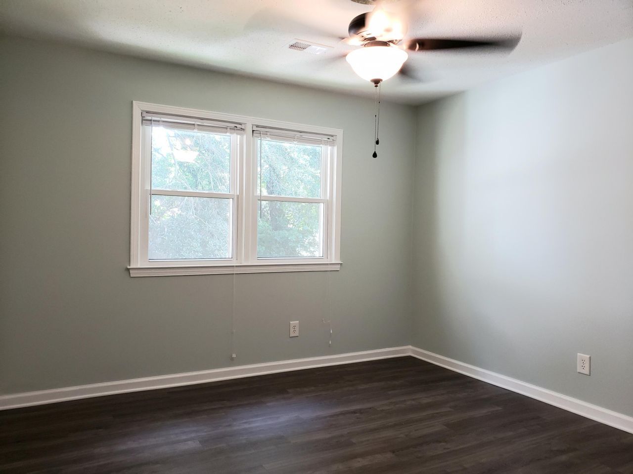 1730 Pinckney Park Drive Photo 12