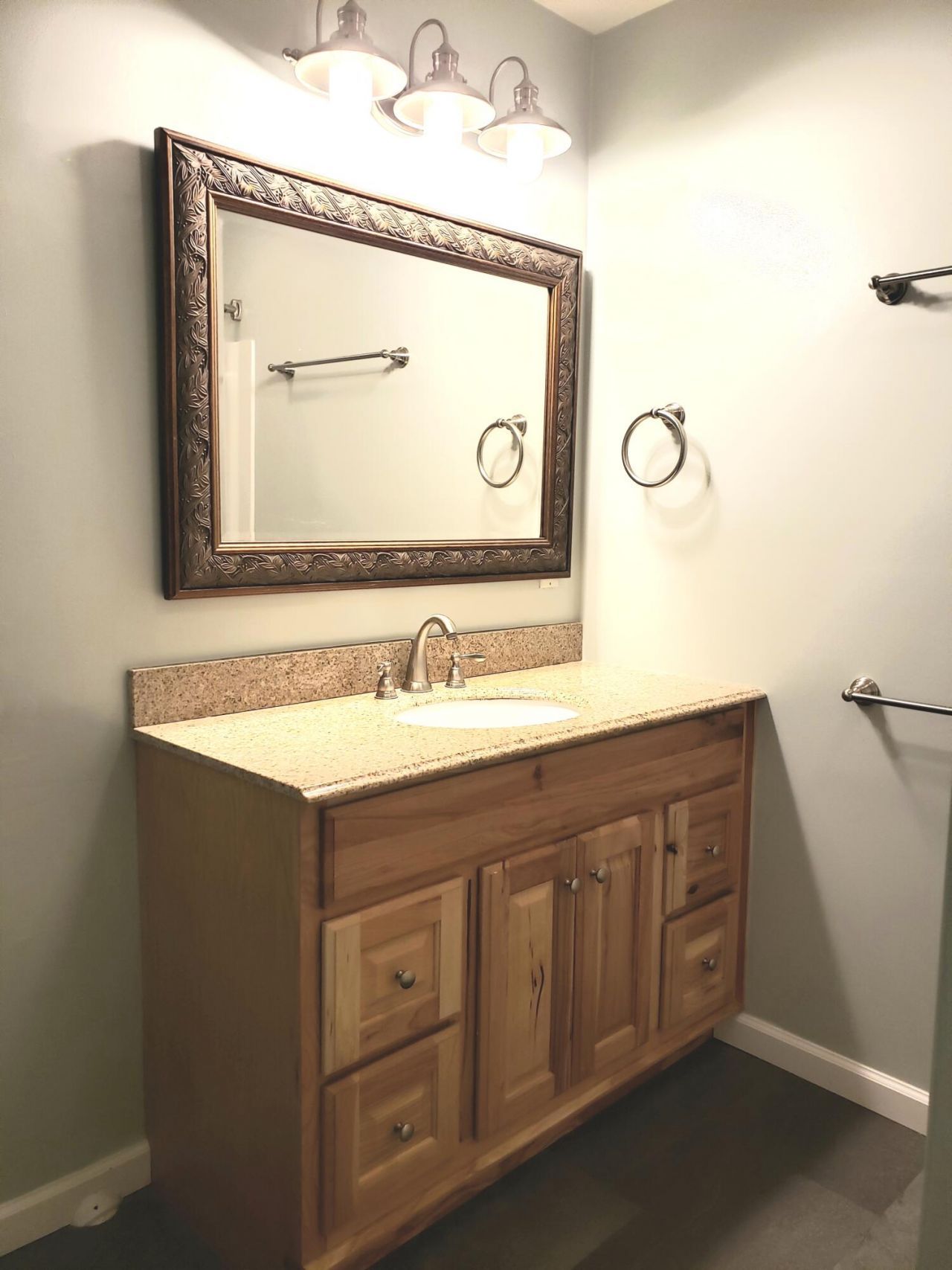 1730 Pinckney Park Drive Photo 13