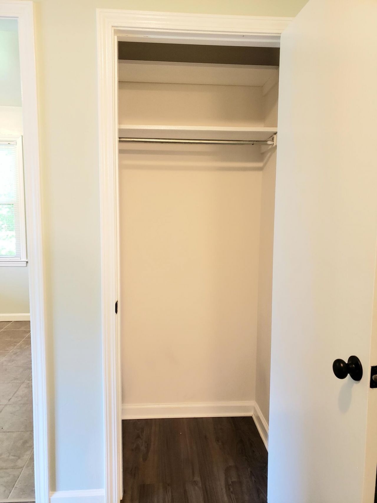 1730 Pinckney Park Drive Photo 16