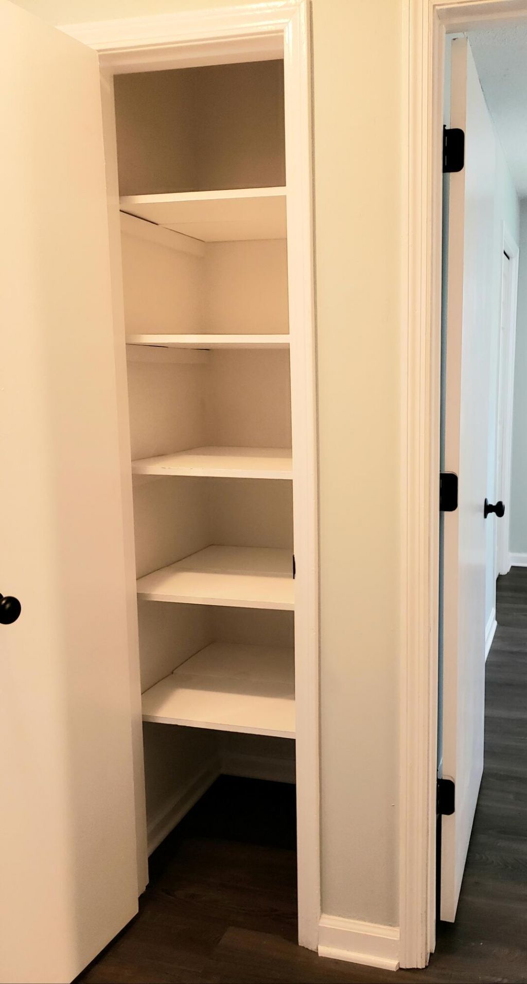 1730 Pinckney Park Drive Photo 17