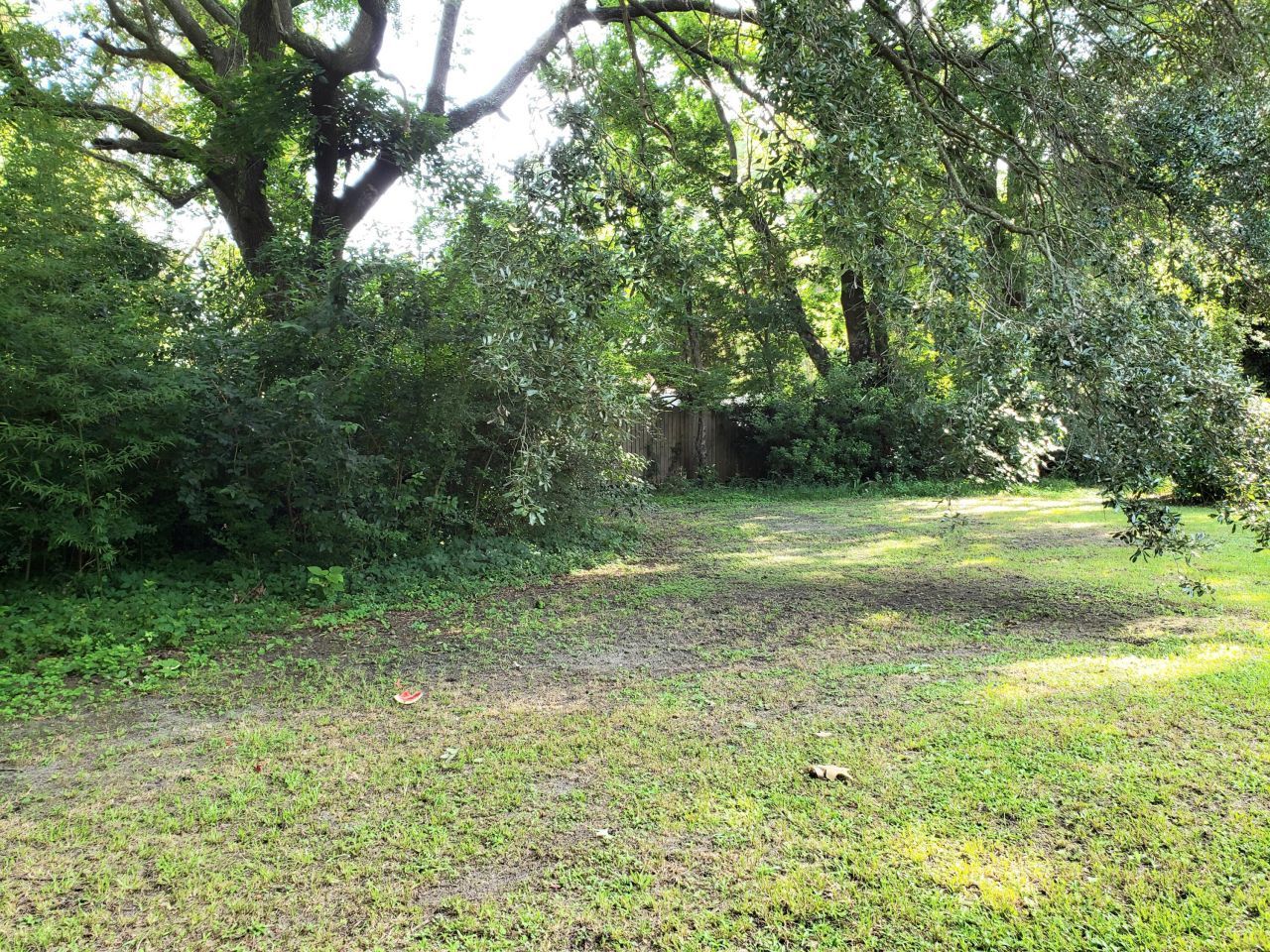 1730 Pinckney Park Drive Photo 18