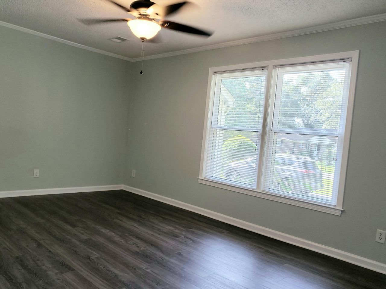 1730 Pinckney Park Drive Photo 4