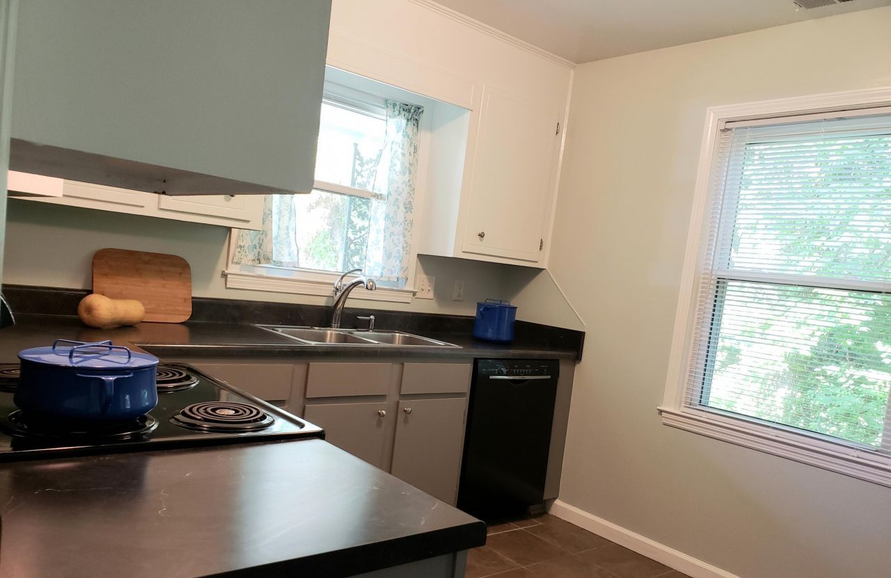 1730 Pinckney Park Drive Photo 8