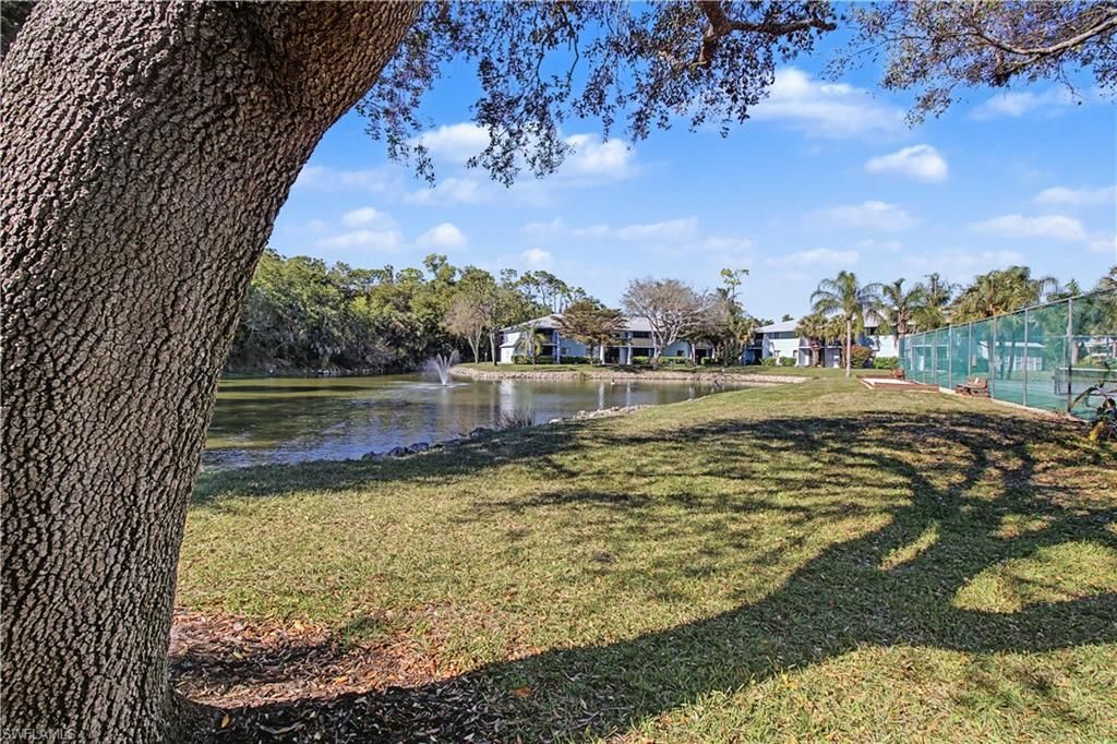 28201 Pine Haven Way , Unit 145, Bonita Springs, FL 34135 Photo