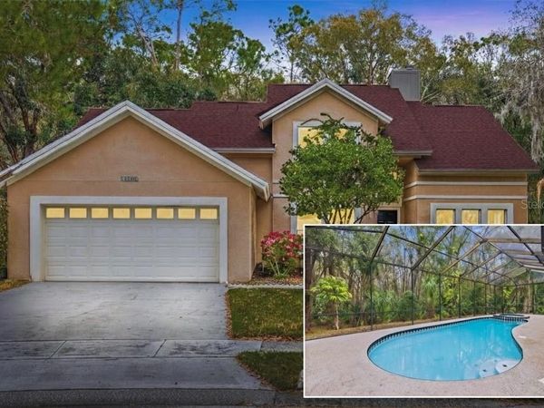 16105 CAMBRIA COURT, TAMPA, FL 33647