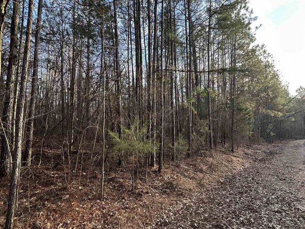 DELL ARBOR CIR, Ramer, TN 38367