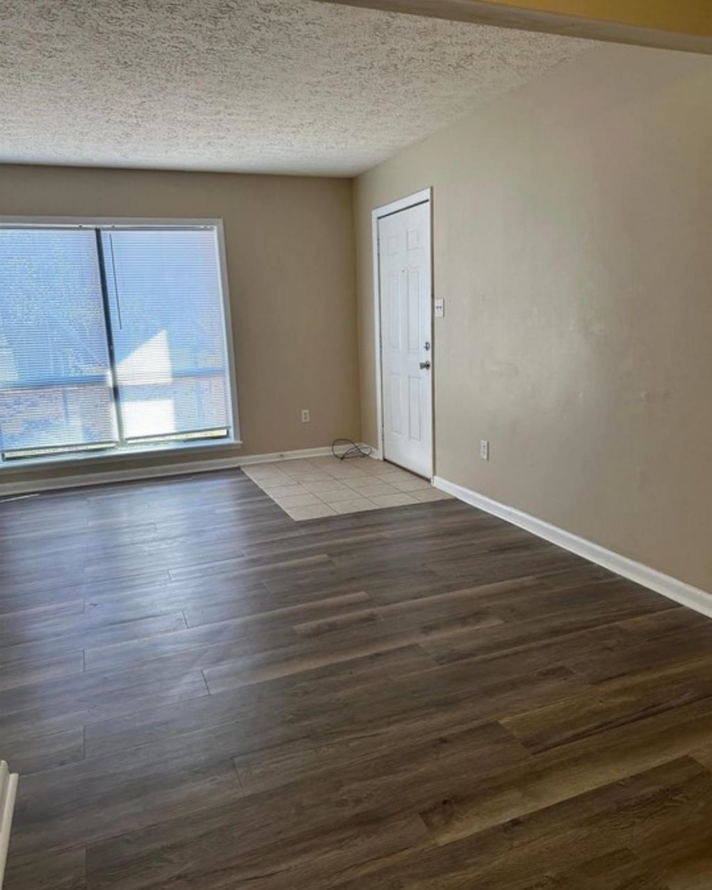 615 Carter Ln.  Photo 5