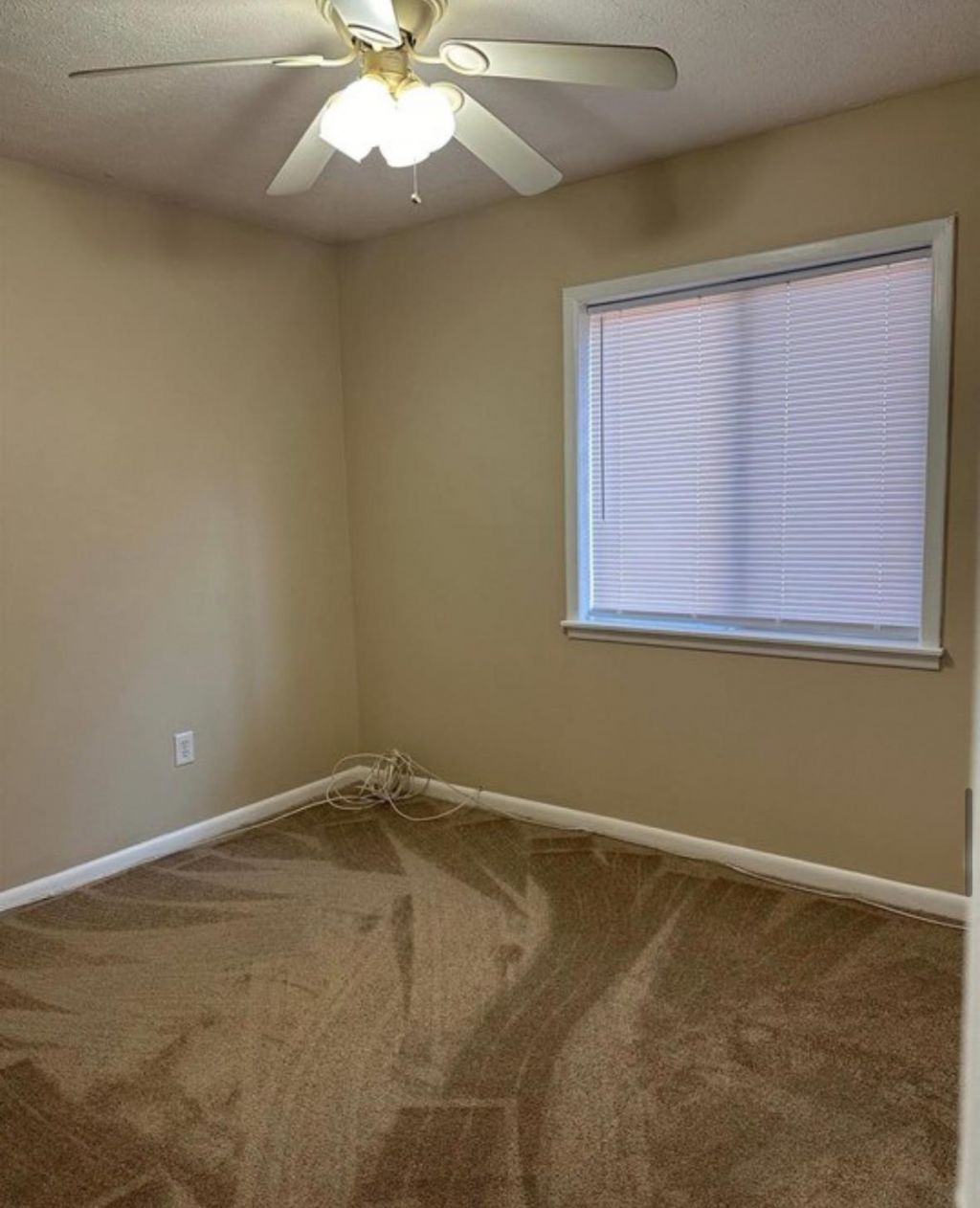 615 Carter Ln.  Photo 7