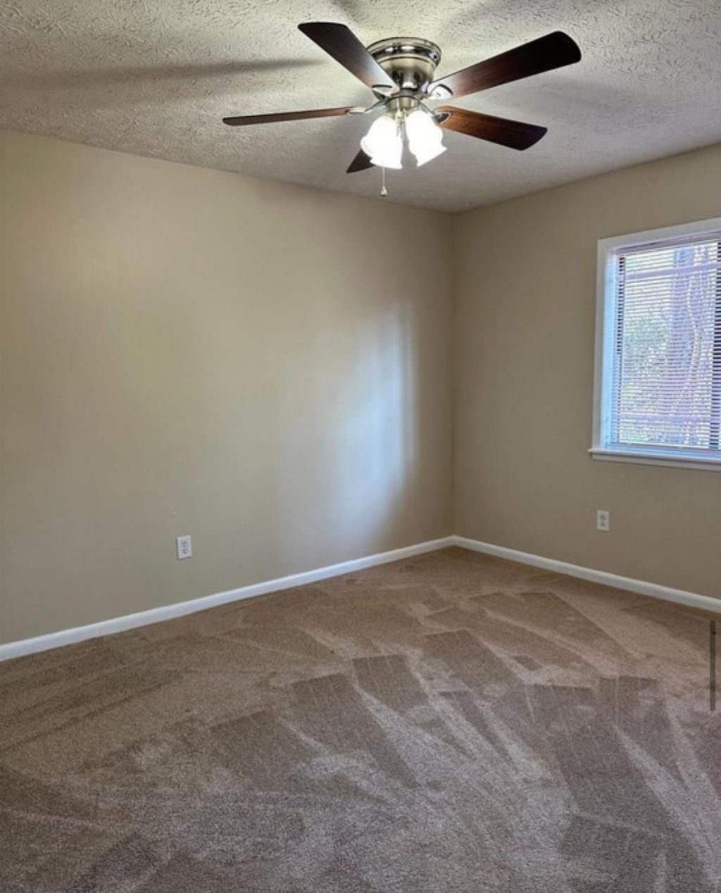 615 Carter Ln.  Photo 8