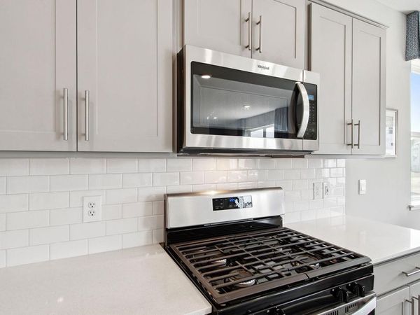 23793 Ashbury Drive, Rogers, MN 55374