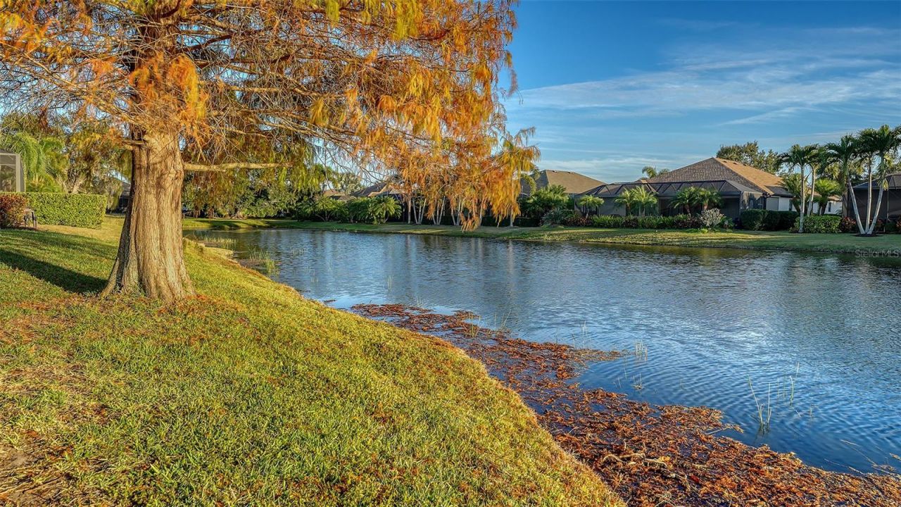 14324 Silver Trout Drive, Lakewood Ranch, FL 34202 Photo
