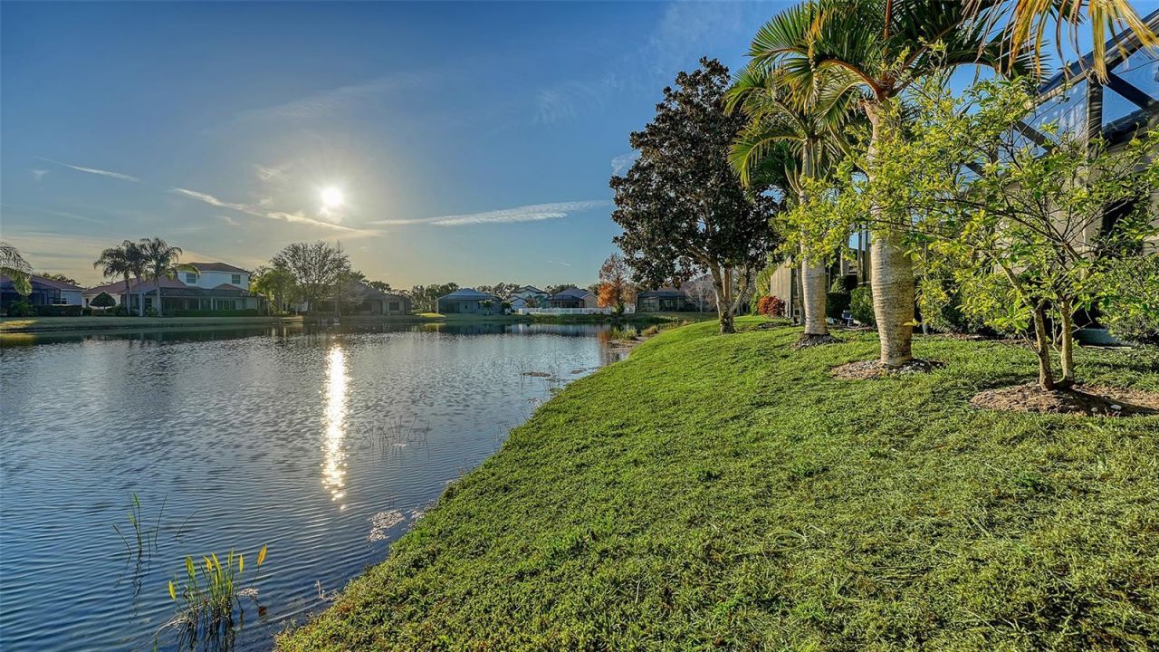 14324 Silver Trout Drive, Lakewood Ranch, FL 34202 Photo