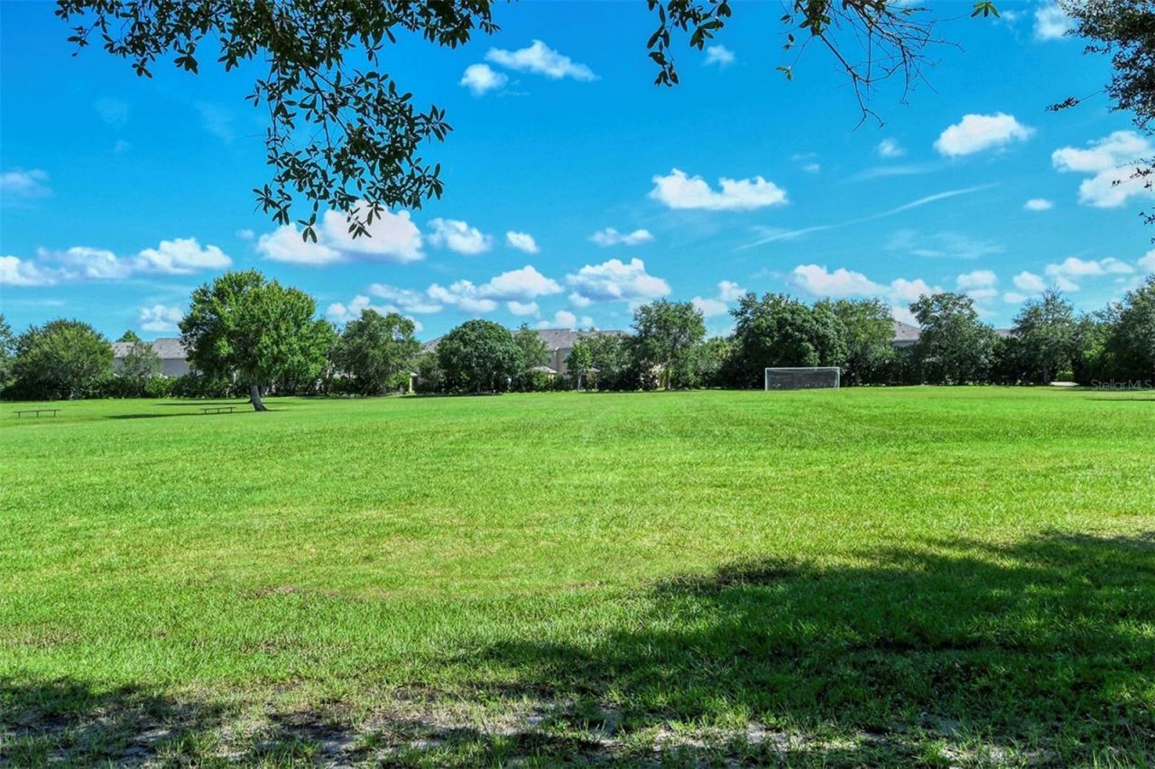 14324 Silver Trout Drive, Lakewood Ranch, FL 34202 Photo