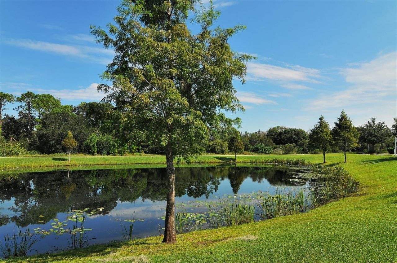 14324 Silver Trout Drive, Lakewood Ranch, FL 34202 Photo