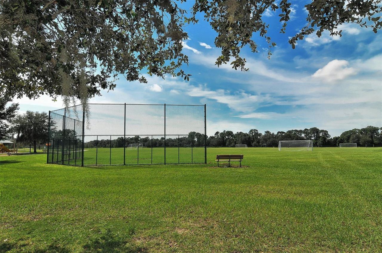 14324 Silver Trout Drive, Lakewood Ranch, FL 34202 Photo