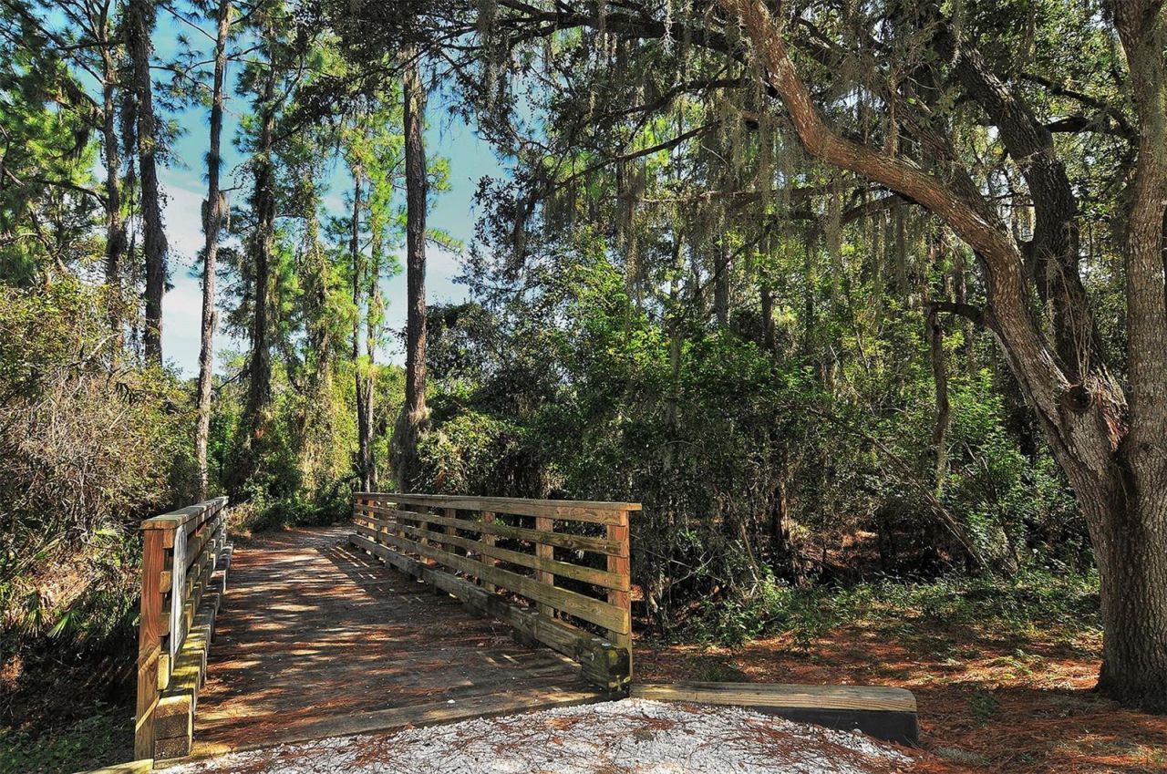 14324 Silver Trout Drive, Lakewood Ranch, FL 34202 Photo