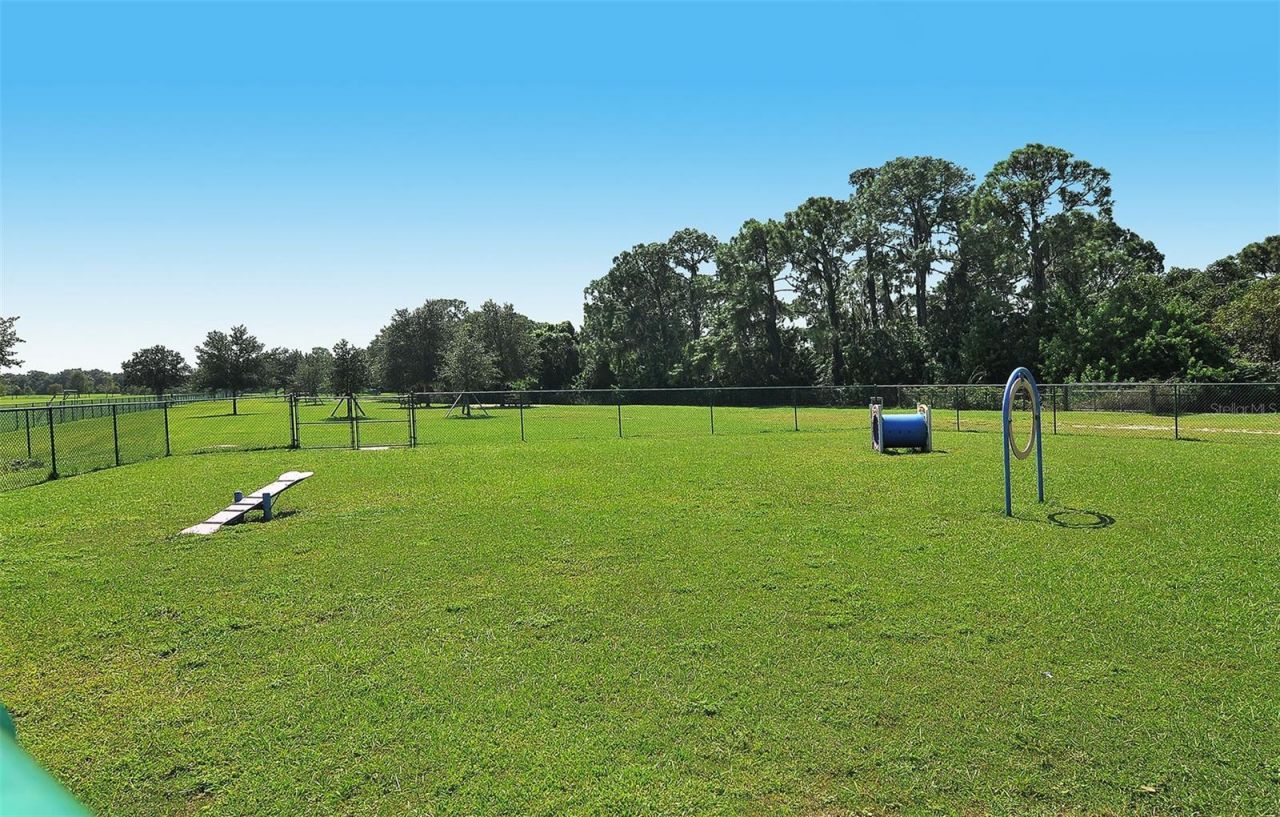 14324 Silver Trout Drive, Lakewood Ranch, FL 34202 Photo