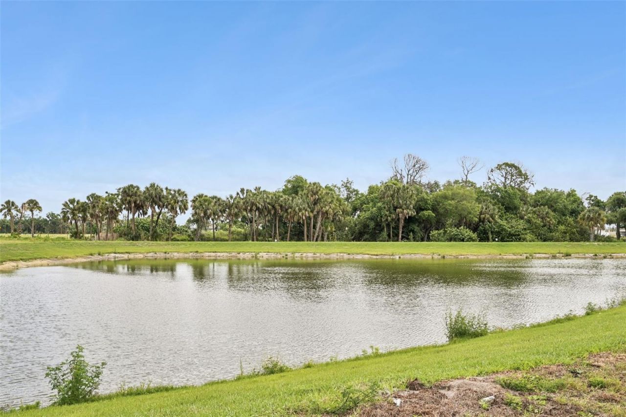 10030 Hidden Hammock Loop, Parrish, FL 34219 Photo