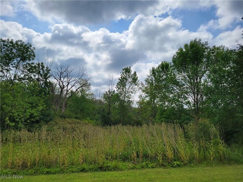 Hudson-Aurora Road, Streetsboro, OH 44241 Photo 3