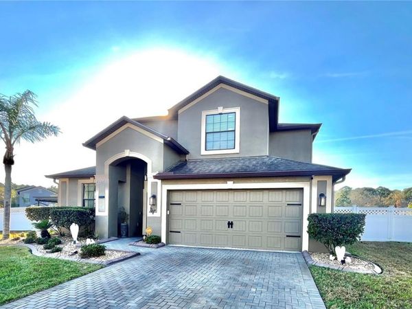 20006 SATIN LEAF AVENUE, TAMPA, FL 33647