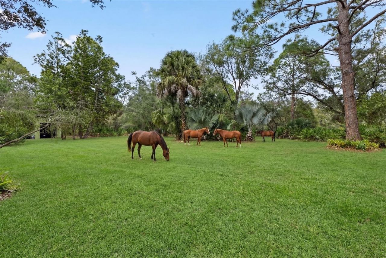 6950 El Dorado Drive, Sarasota, FL 34240 Photo