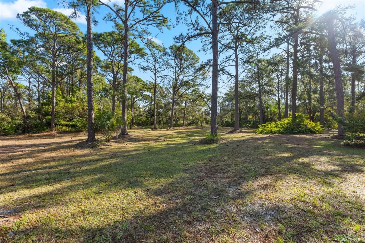 6950 El Dorado Drive, Sarasota, FL 34240 Photo