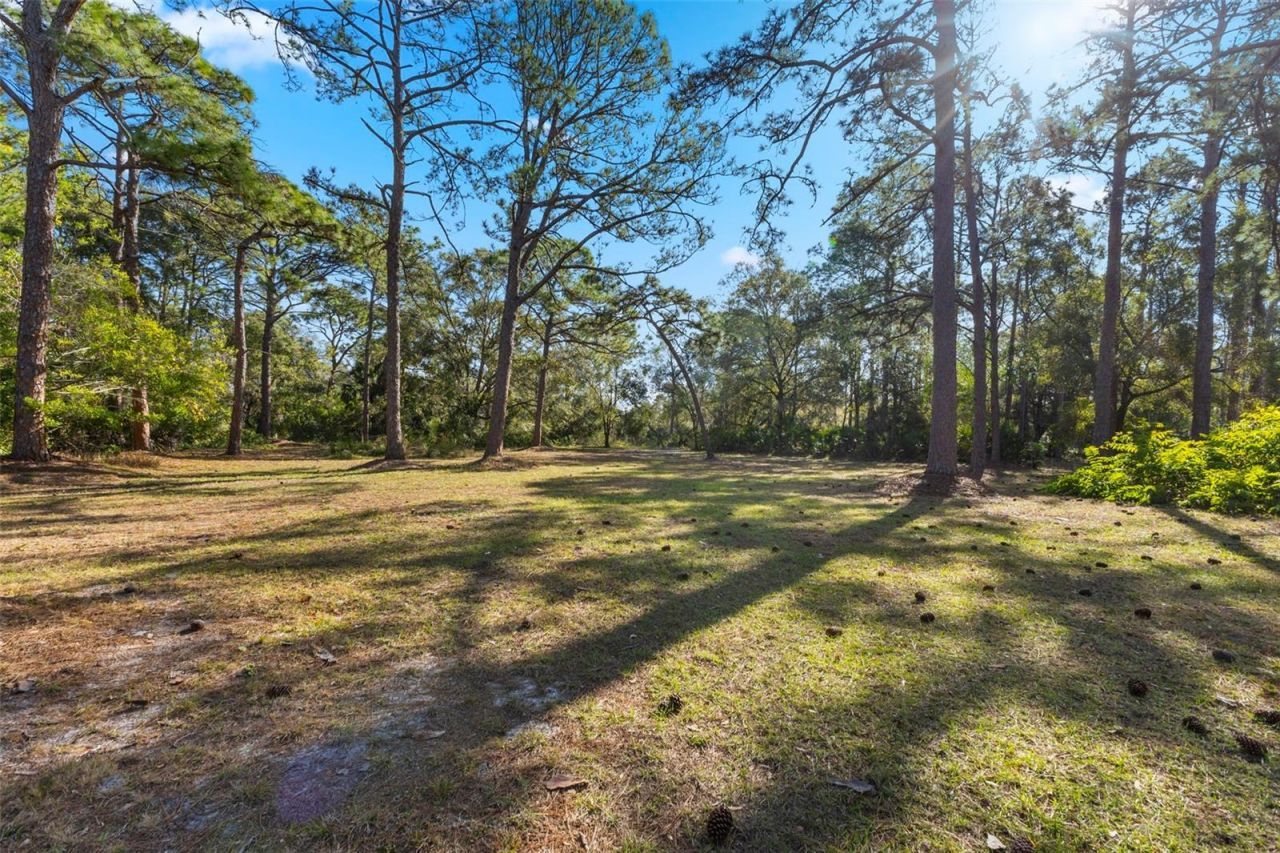 6950 El Dorado Drive, Sarasota, FL 34240 Photo