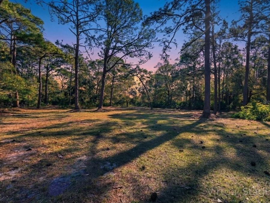 Property Image 69