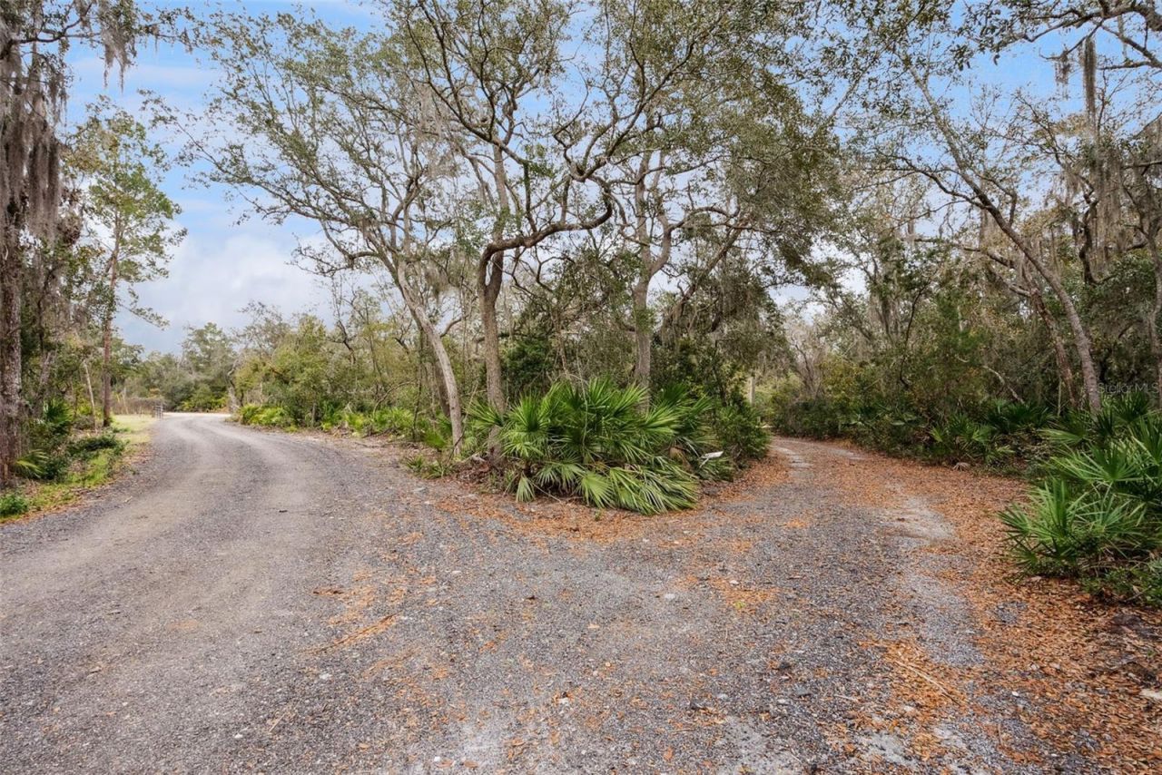 160 Lush Lane, Deltona, FL 32738 Photo