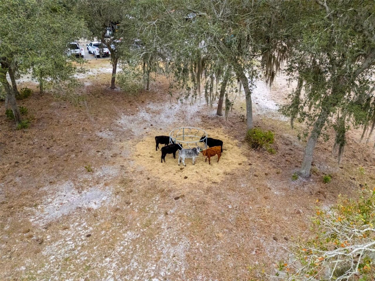 160 Lush Lane, Deltona, FL 32738 Photo