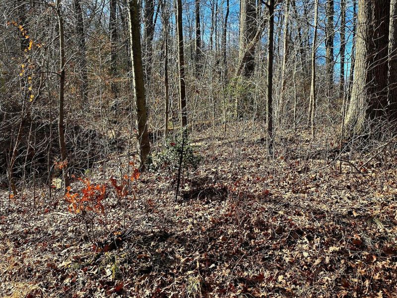 593 Ross Road SE, Lancaster, OH 43130 Photo 1