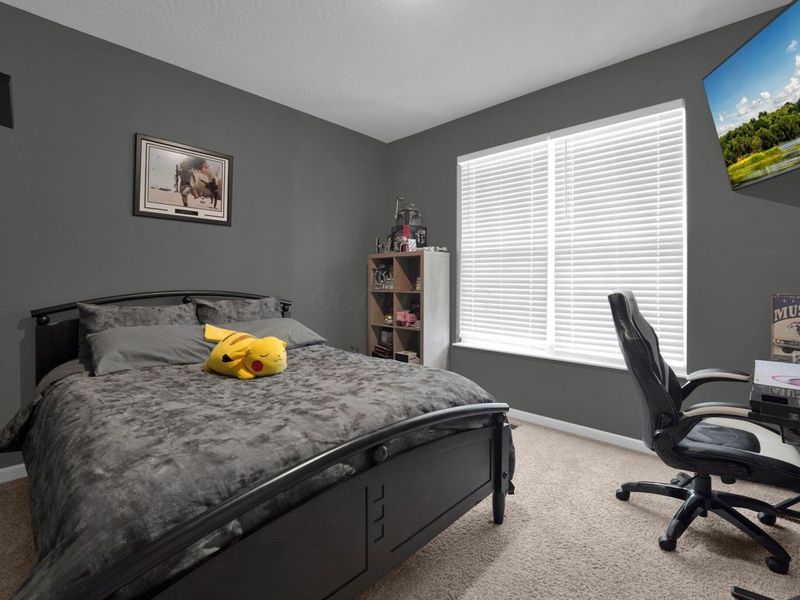 297 Mahogany Lane, Commercial Point, OH 43116 Photo 15