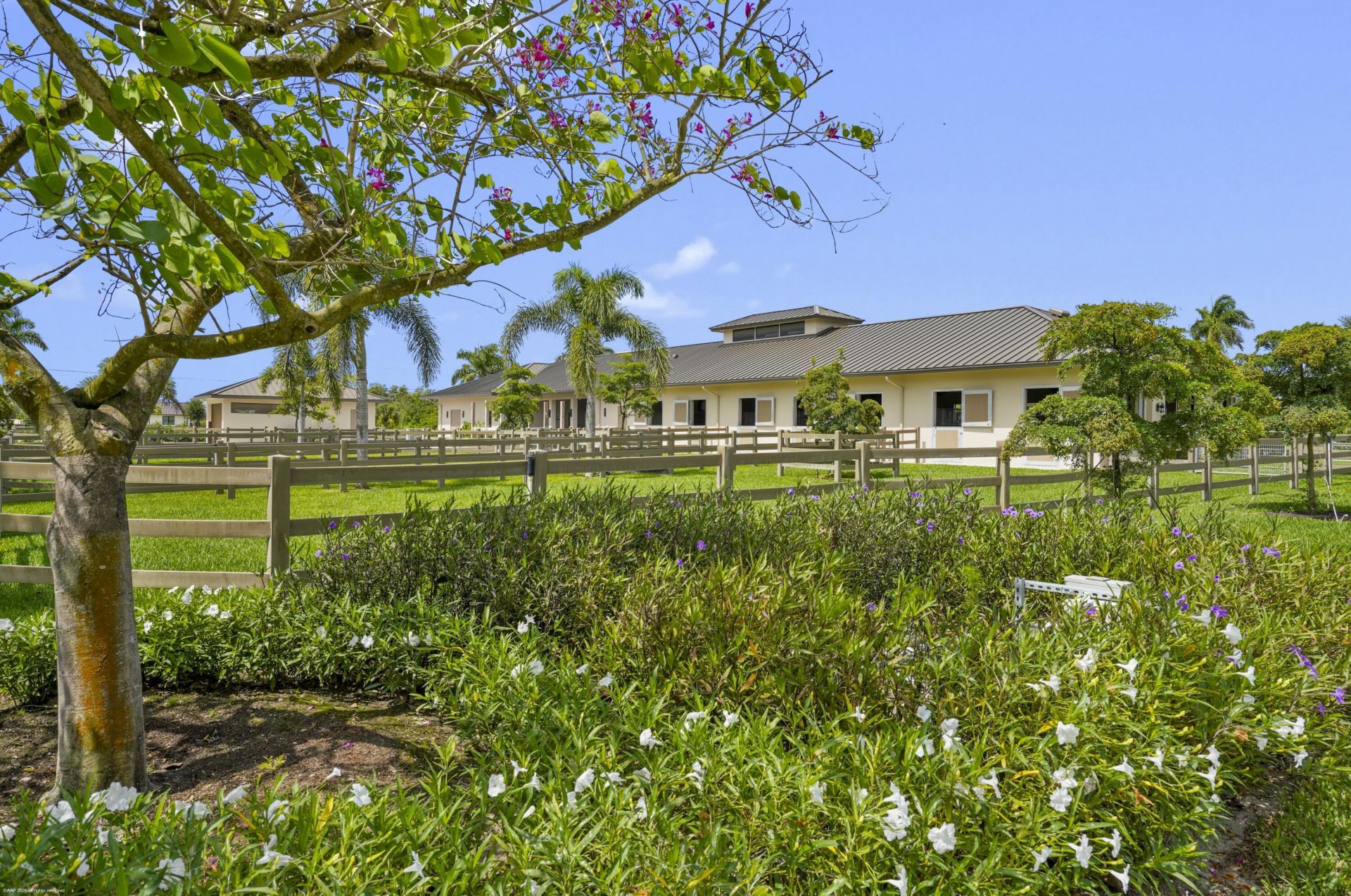 16219 Hollow Tree Lane, Wellington, FL 33470 Photo