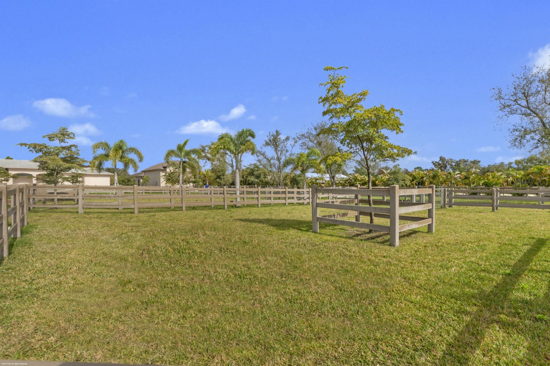 16219 Hollow Tree Lane, Wellington, FL 33470 Photo