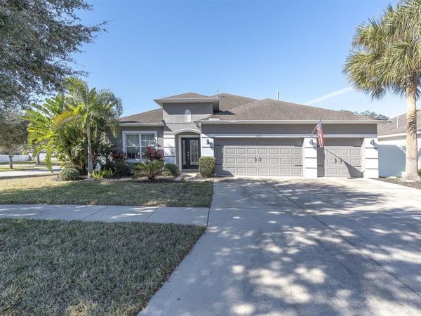 10223 CARAWAY SPICE AVENUE, RIVERVIEW, FL 33578