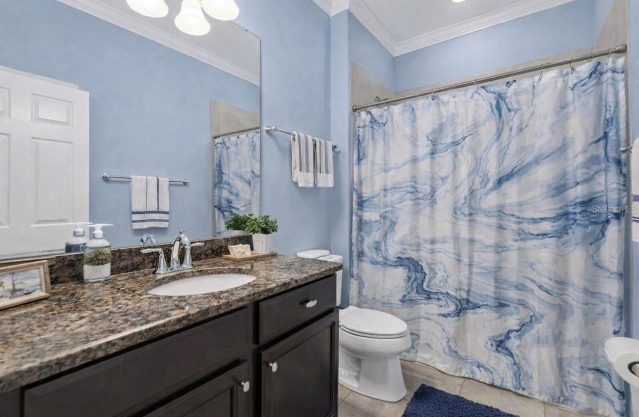 10223 Caraway Spice Avenue, Riverview, FL 33578 Photo