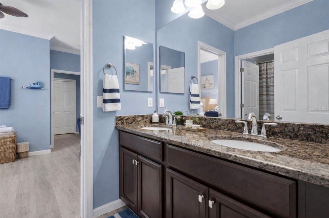 10223 Caraway Spice Avenue, Riverview, FL 33578 Photo