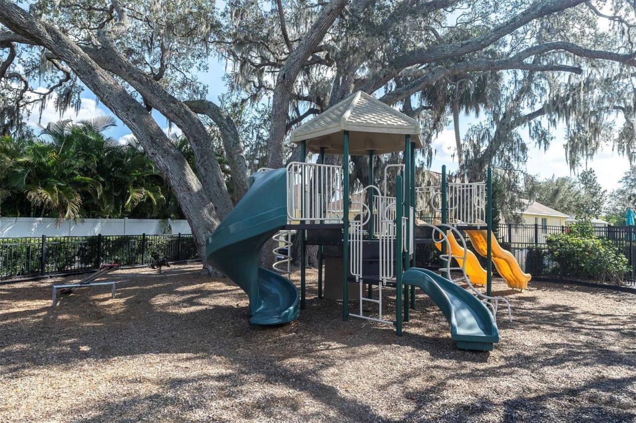10223 Caraway Spice Avenue, Riverview, FL 33578 Photo