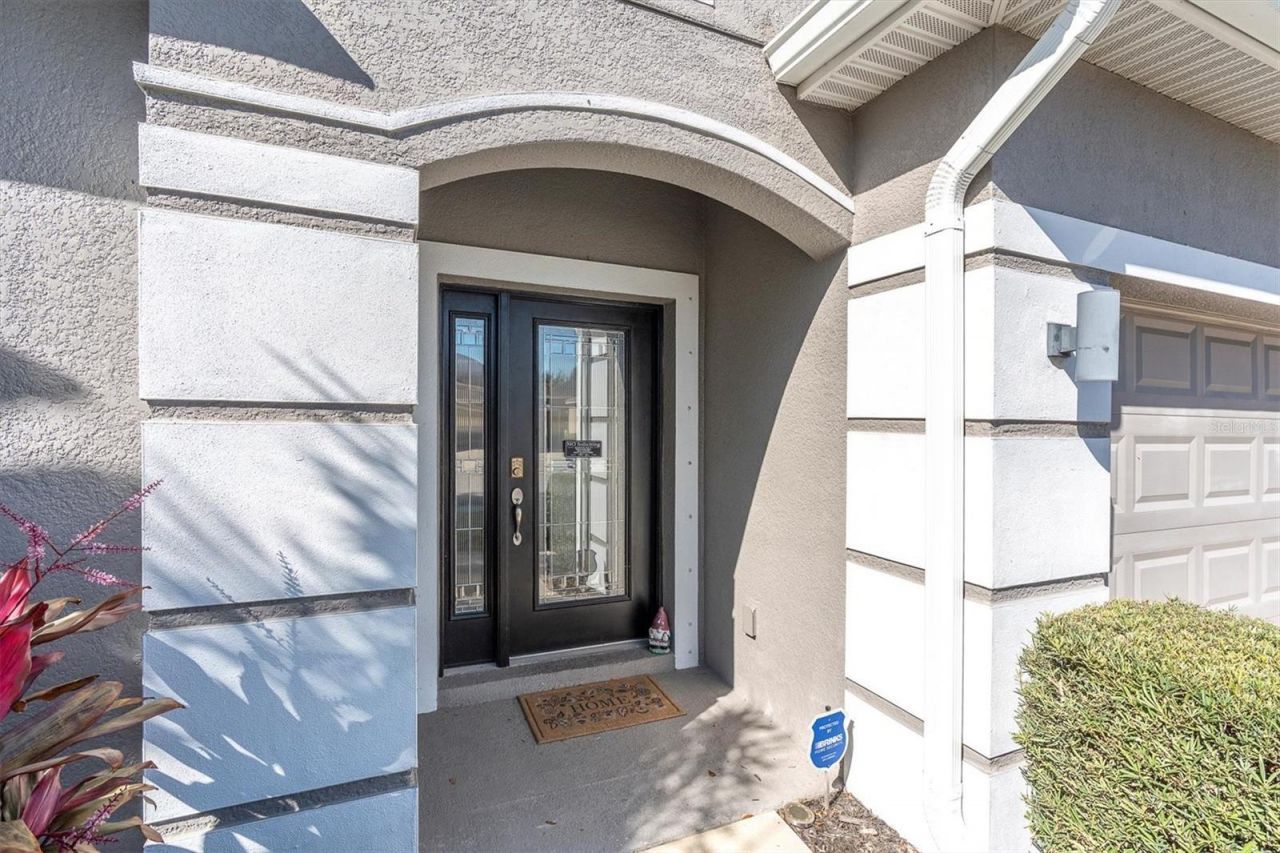 10223 Caraway Spice Avenue, Riverview, FL 33578 Photo