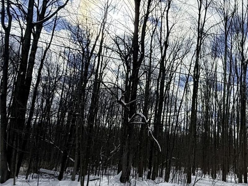 Tompkins Road, Jefferson, OH 44047 Photo 1