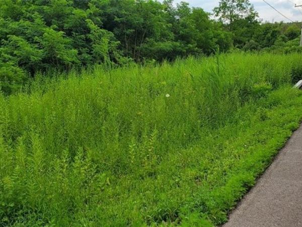 00 Herman Road, Camillus, NY 13031