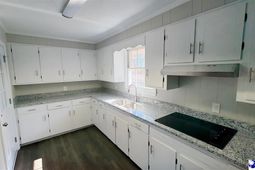 1030 Delta Mill Road photo 4