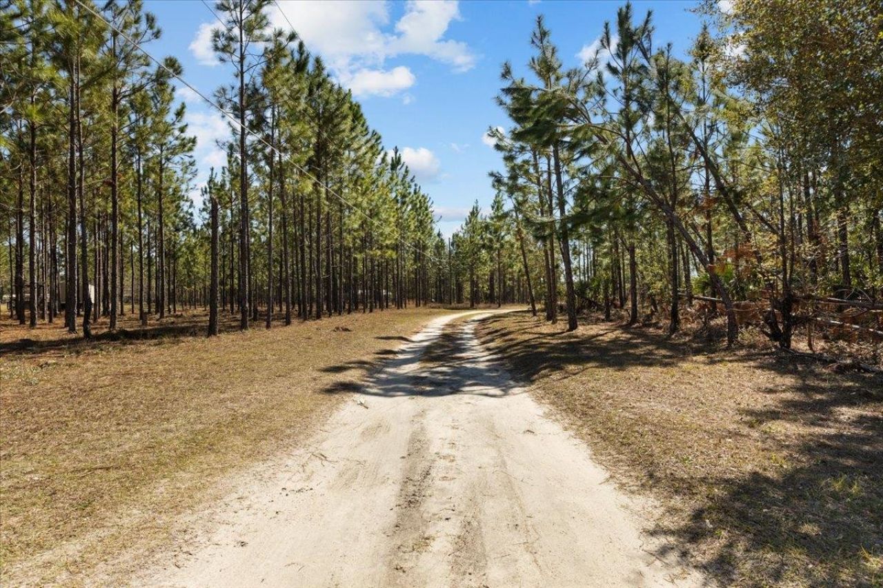 100 W Davis Walker Road, Perry, FL 32348 Photo