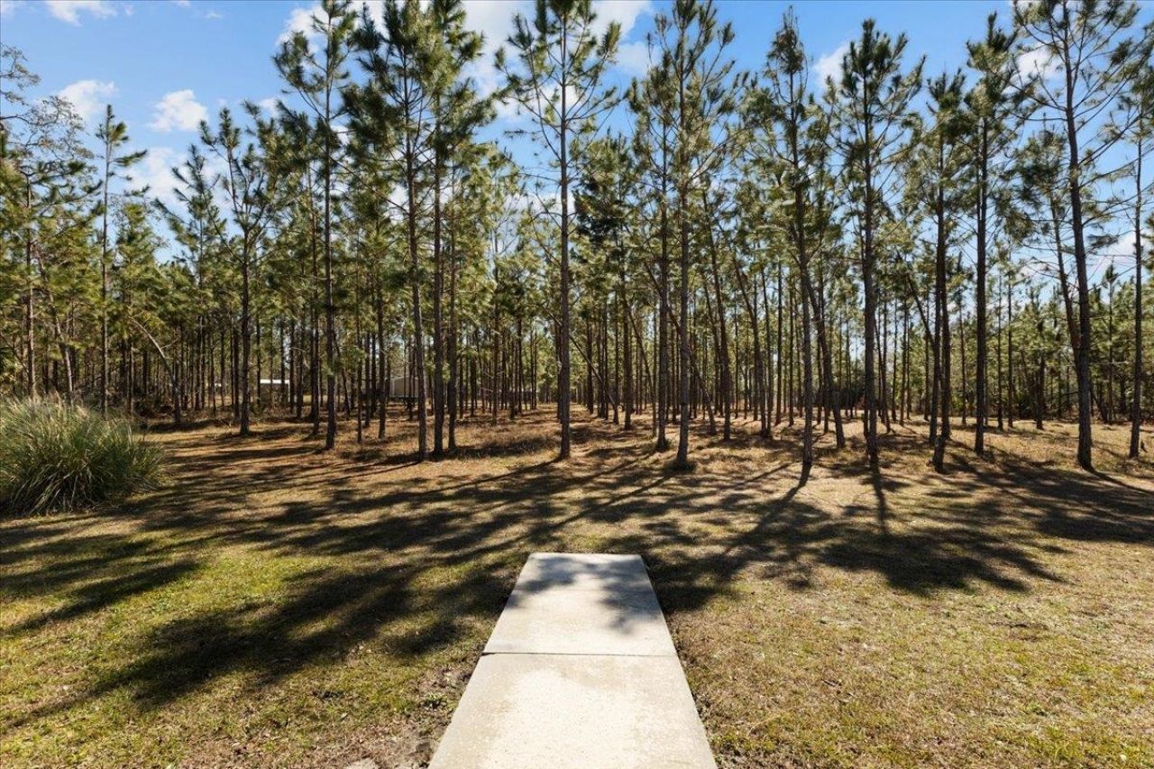 100 W Davis Walker Road, Perry, FL 32348 Photo