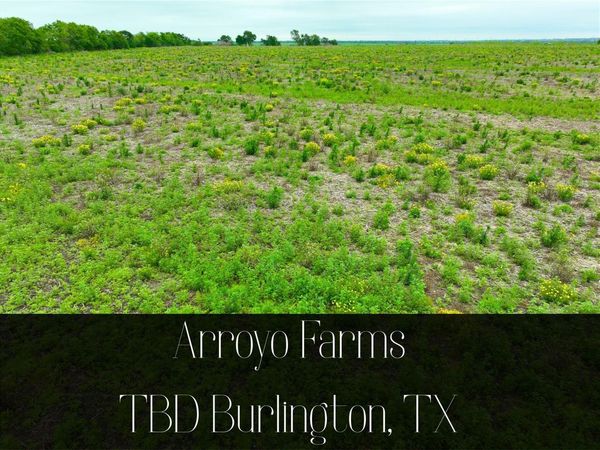 TBD Lot 3, Blk 2 132 RD, Burlington, TX 76518