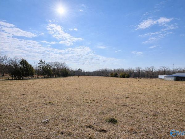 3051 Alabama Highway 157, Danville, AL 35619